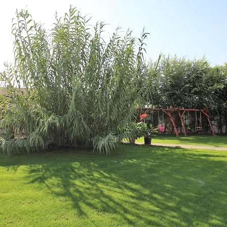 Mika Štúrovo